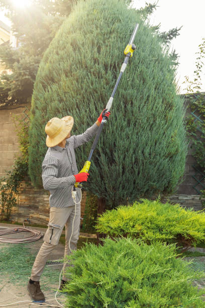 Cornwells Heights, PA Tree Removal and Landscaping Services Company